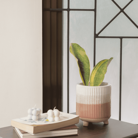 Siena Ceramic Footed Planter